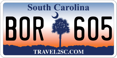 SC license plate BOR605