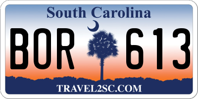 SC license plate BOR613