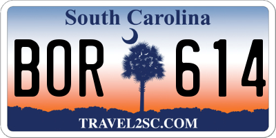 SC license plate BOR614