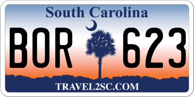 SC license plate BOR623