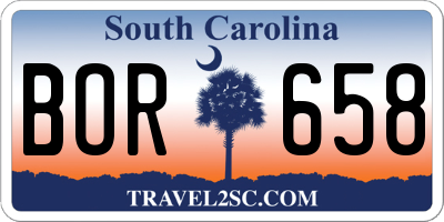 SC license plate BOR658