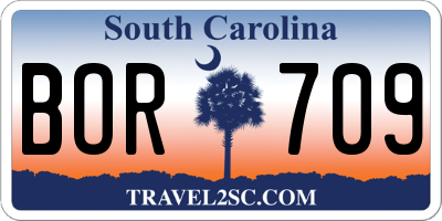 SC license plate BOR709