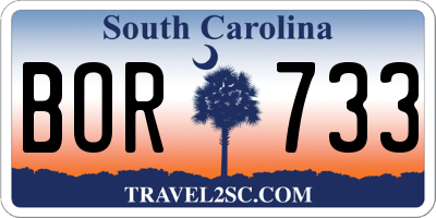 SC license plate BOR733