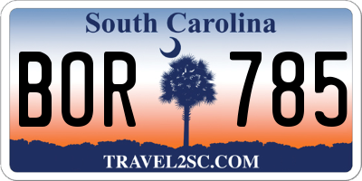 SC license plate BOR785