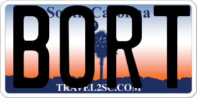 SC license plate BORT