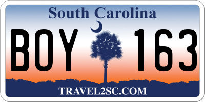 SC license plate BOY163