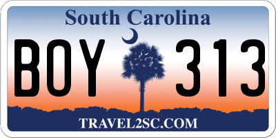 SC license plate BOY313