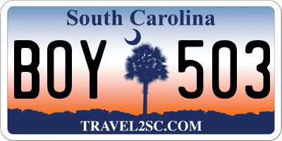 SC license plate BOY503