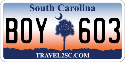 SC license plate BOY603