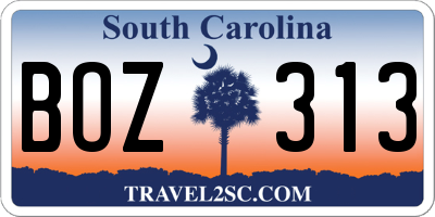 SC license plate BOZ313