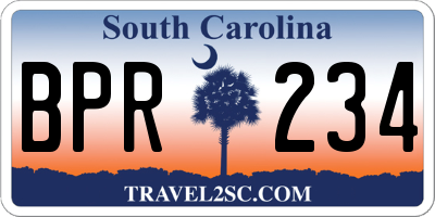 SC license plate BPR234