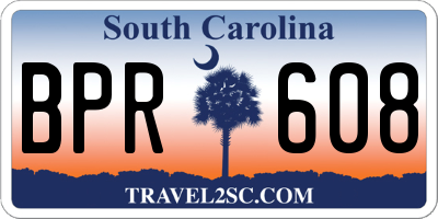 SC license plate BPR608
