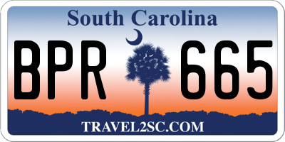SC license plate BPR665