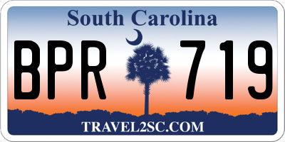 SC license plate BPR719