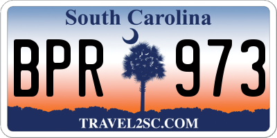 SC license plate BPR973