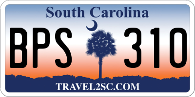 SC license plate BPS310