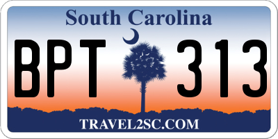 SC license plate BPT313