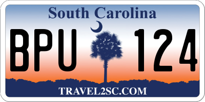 SC license plate BPU124