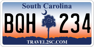 SC license plate BQH234