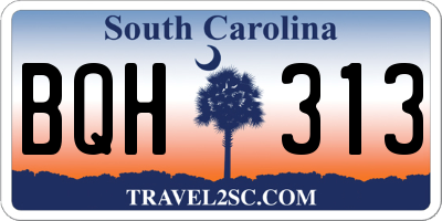SC license plate BQH313