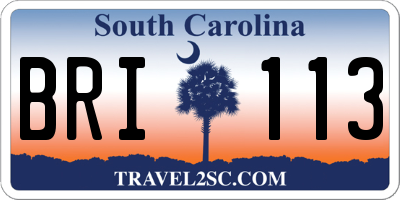 SC license plate BRI113