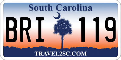 SC license plate BRI119