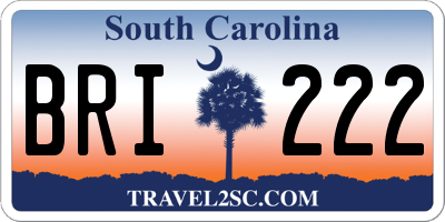 SC license plate BRI222