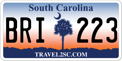 SC license plate BRI223