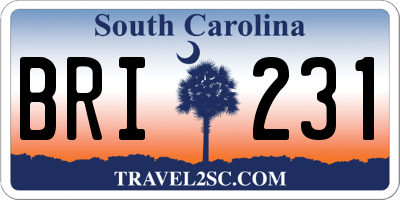 SC license plate BRI231
