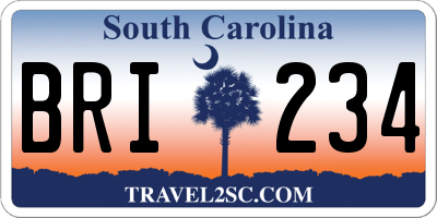 SC license plate BRI234