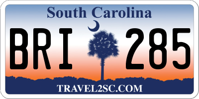 SC license plate BRI285