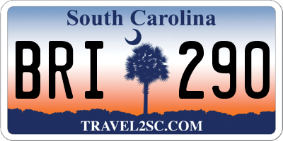 SC license plate BRI290