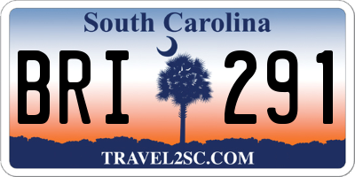 SC license plate BRI291