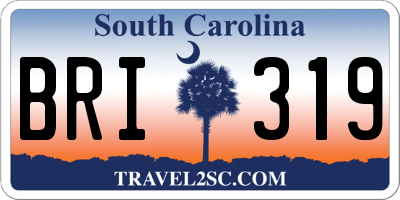 SC license plate BRI319