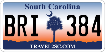 SC license plate BRI384