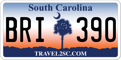 SC license plate BRI390