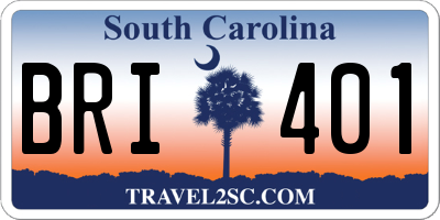SC license plate BRI401