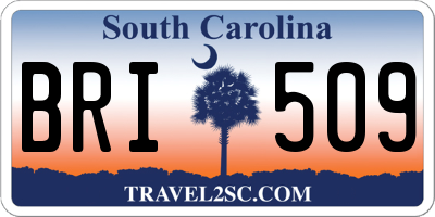 SC license plate BRI509