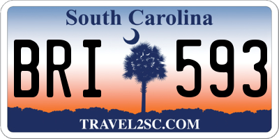 SC license plate BRI593