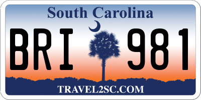 SC license plate BRI981