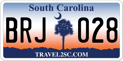 SC license plate BRJ028