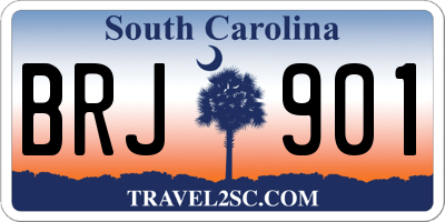 SC license plate BRJ901