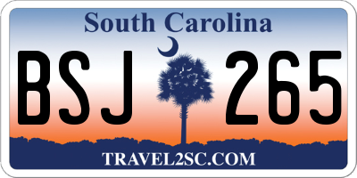 SC license plate BSJ265
