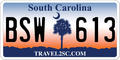 SC license plate BSW613