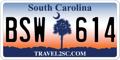 SC license plate BSW614