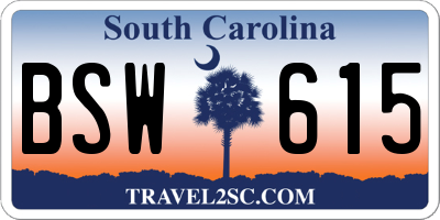 SC license plate BSW615