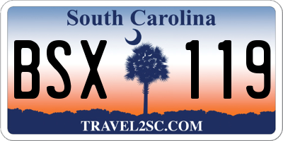 SC license plate BSX119