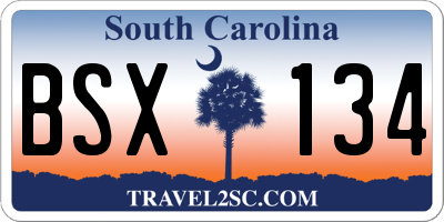 SC license plate BSX134