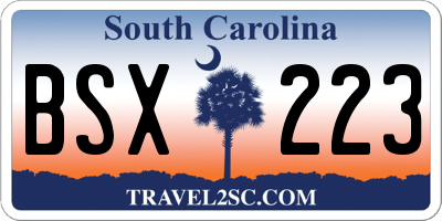 SC license plate BSX223