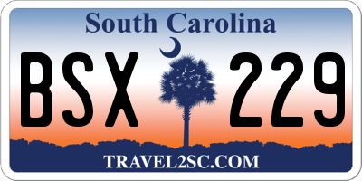 SC license plate BSX229